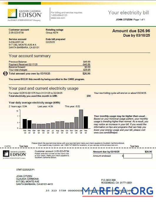Blank USA Southern California Edison utility bill template in Word and PDF formats, version 2